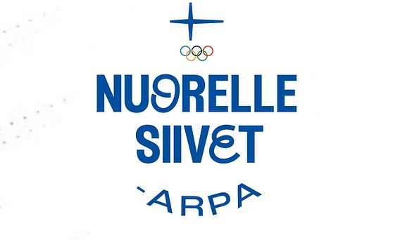 Logo Nuorelle siivet -arpa