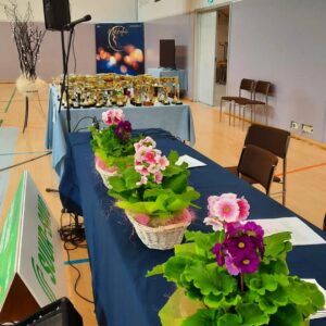 Pöytä jossa kukkasia ruukuissa.